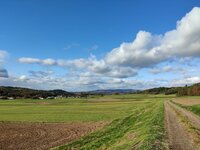 IMG_20251026_095637.jpg
