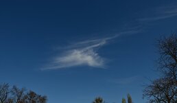 DSC_0596.jpg
