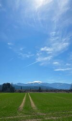 20260405_125123.jpg