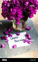 ersten-fruhling-blumen-auf-dem-tisch-mit-guten-morgen-hinweis-enf83x.jpg