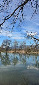 20260405_134911.jpg