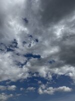 IMG_5463.jpeg