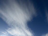 IMG_5505.jpeg