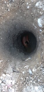 20260408_081249.jpg