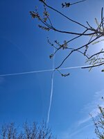 20260408_115447.jpg
