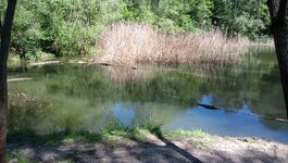 IMG_20240427_130120_362.jpg