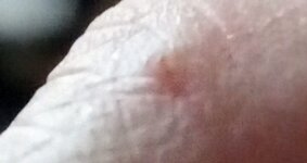 IMG_20260409_192921786~2.jpg