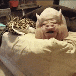 1775763281941.gif