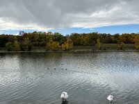 IMG_6803.jpg