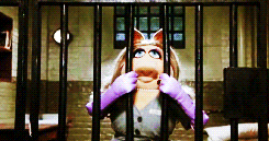 tumblr_mss0bkNwYM1r0z9mso5_250.gif