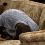 are-you-kidding-me-al-bundy.gif