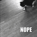 1775898513368.gif 1775898513368.gif