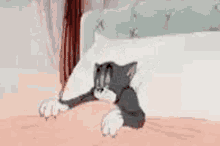 1000064350.gif