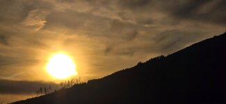 20260409_185055.jpg