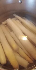 IMG_20260413_135818630.jpg