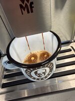 IMG_5736.jpeg