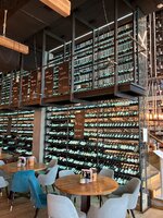 IMG_2167.jpeg