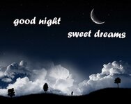 Gute Nacht Dreams.jpg