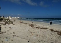 Sir plage.JPG