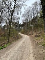 IMG_5931.jpeg