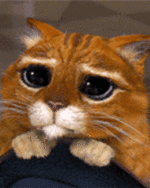1000064505.gif