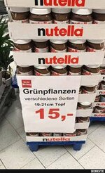 Gruenpflanzen-h.jpg