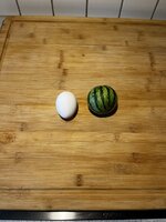 IMG_5038.jpeg