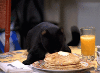 1000064591.gif