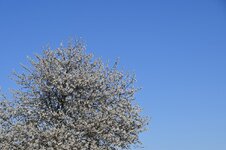 DSC_0739.jpg