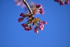 DSC_0738.jpg