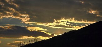 20260417_190648.jpg