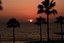DSC_5796.jpg