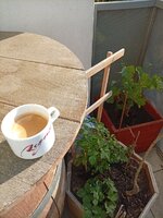 IMG_20260419_082524.jpg