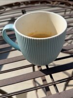 IMG_5971.jpeg