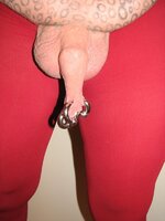 P1.JPG