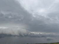 IMG_5995.jpeg