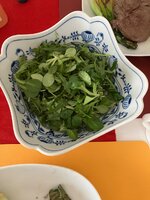 IMG_2221.jpeg