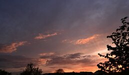 DSC_1840.jpg