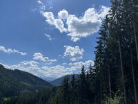 IMG_7571.jpeg