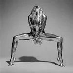 Guido Argentini Silvereye .webp