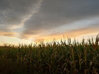 IMG_20250916_185951.jpg