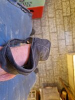 IMG_20260420_113901_421.jpg