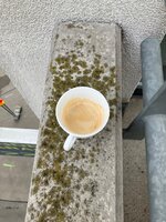 IMG_2226.jpeg