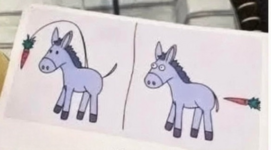 Es gibt nur 2 Arten der Motivation.png