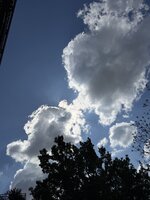 IMG_6148.jpeg