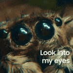 200.gif