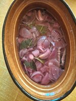 20260422_192551.jpg