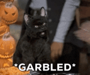 1000065000.gif