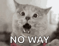 1777033496477.gif