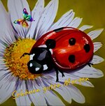 IMG-20260425-WA0000.jpg